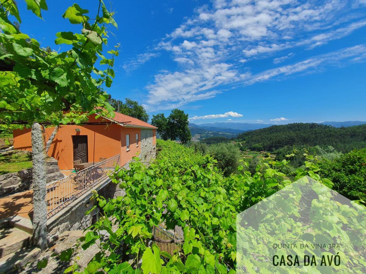 Tourim Quinta Da Vinagraヴィラ エクステリア 写真