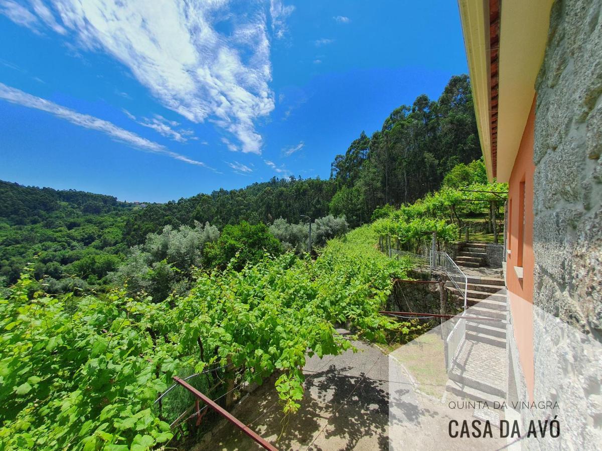 Tourim Quinta Da Vinagraヴィラ エクステリア 写真